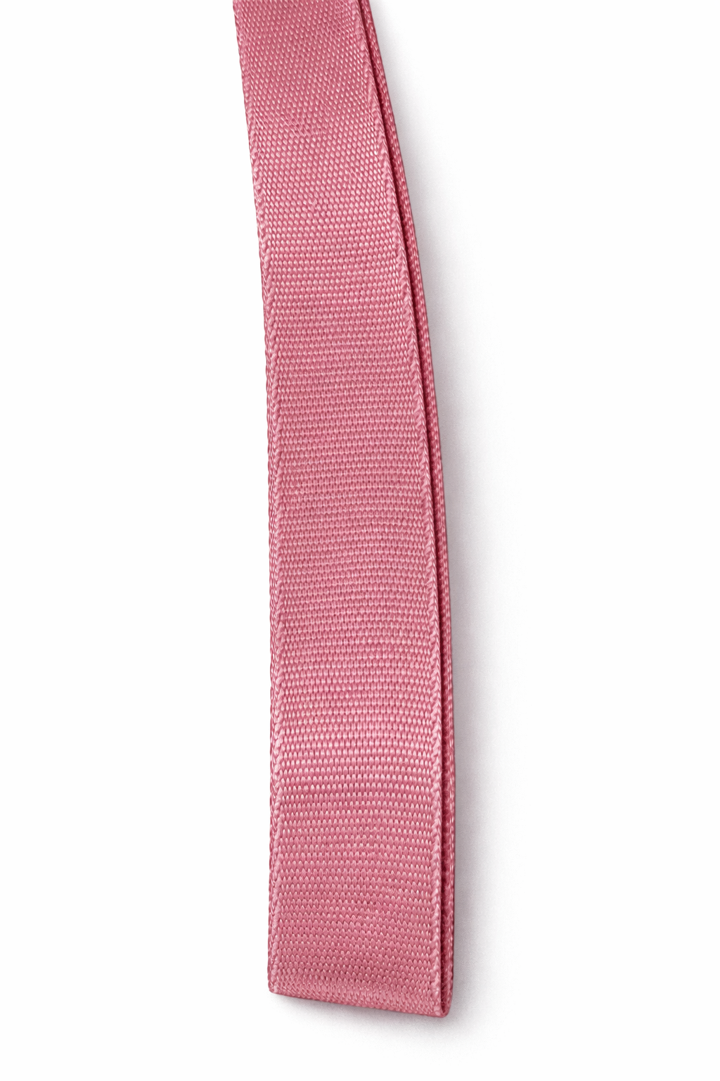 Reata Lisa 25mm (1") Nylon