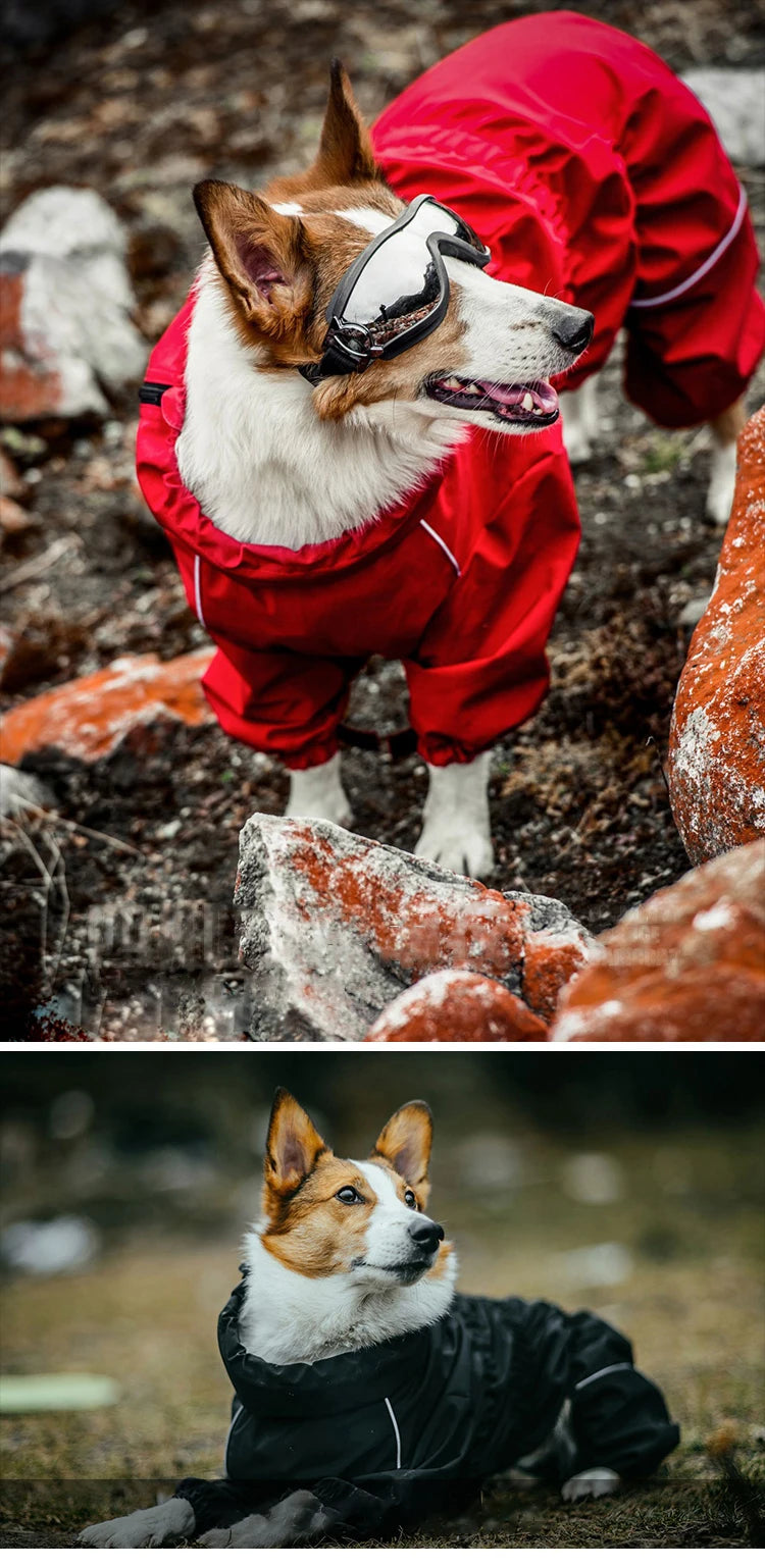 Chaqueta impermeable para perros, ropa de exterior, abrigo cálido de invierno, mono grande, impermeable reflectante para perros pequeños, medianos y grandes.
