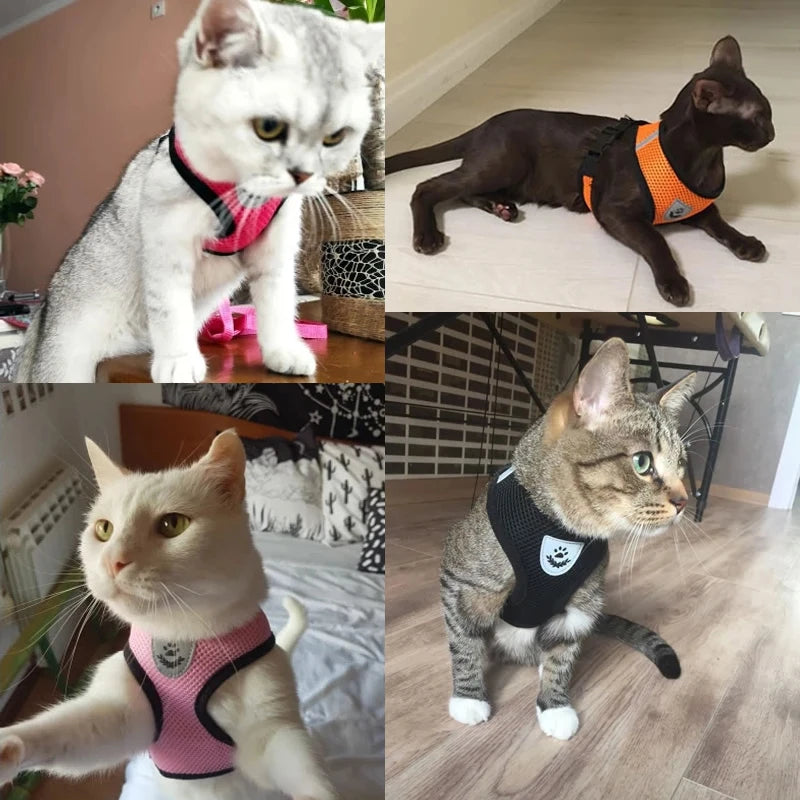 Arnés para gatos, chaleco, correa para pasear, collar para cachorros, collar de poliéster, arnés de malla ajustable para perros, accesorios para mascotas pequeñas y medianas