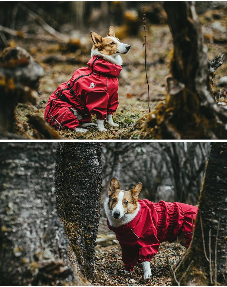 Chaqueta impermeable para perros, ropa de exterior, abrigo cálido de invierno, mono grande, impermeable reflectante para perros pequeños, medianos y grandes.