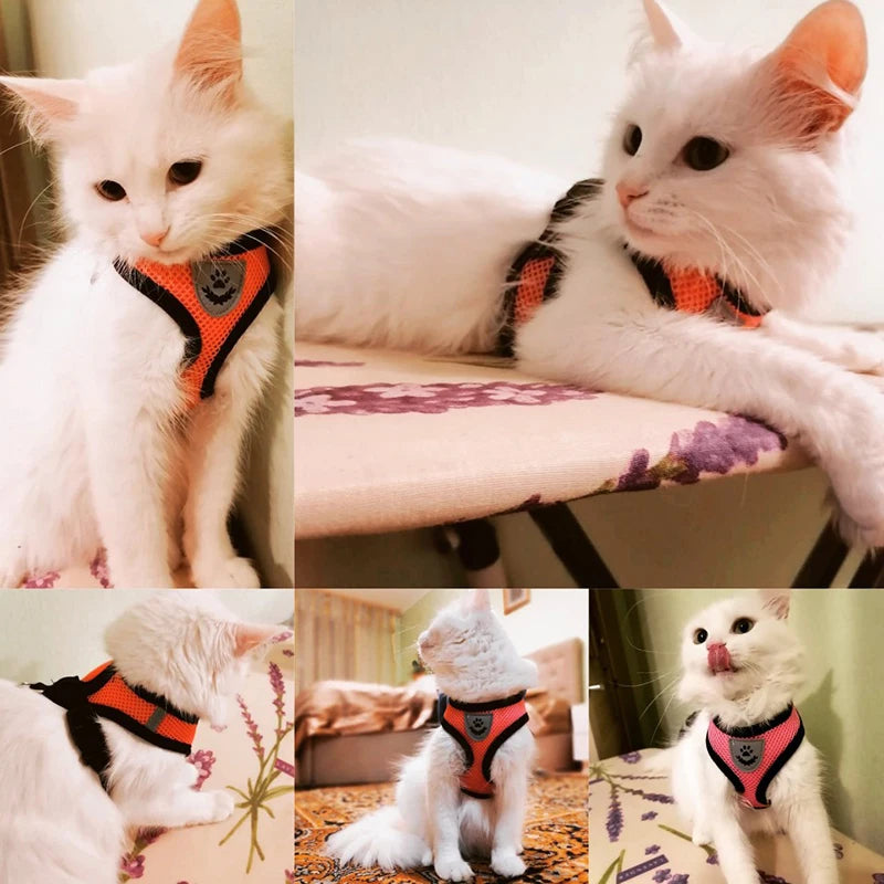 Arnés para gatos, chaleco, correa para pasear, collar para cachorros, collar de poliéster, arnés de malla ajustable para perros, accesorios para mascotas pequeñas y medianas