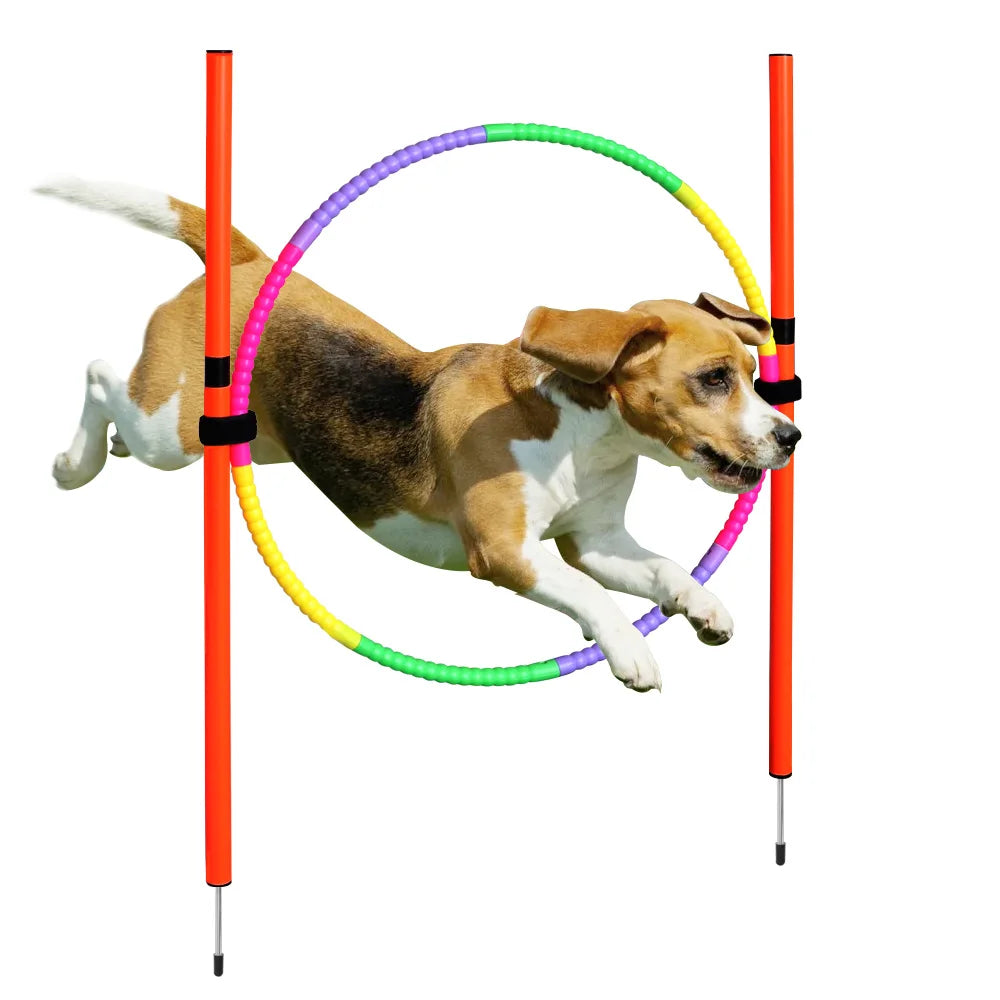 Conjunto de entrenamiento de obstáculos para perros al aire libre, equipo de agilidad para mascotas, conjunto de salto, accesorios de entrenamiento para perros, circuito de obstáculos para perros, suministros para mascotas