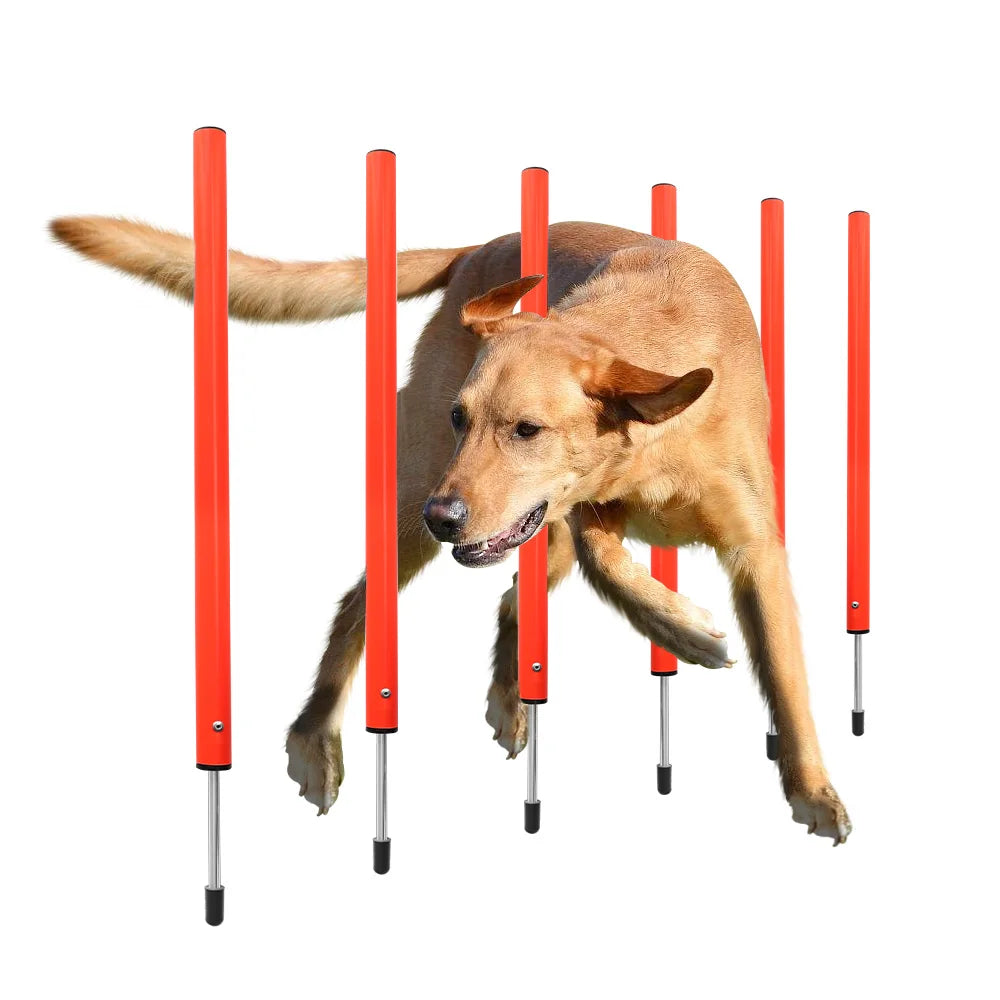 Conjunto de entrenamiento de obstáculos para perros al aire libre, equipo de agilidad para mascotas, conjunto de salto, accesorios de entrenamiento para perros, circuito de obstáculos para perros, suministros para mascotas