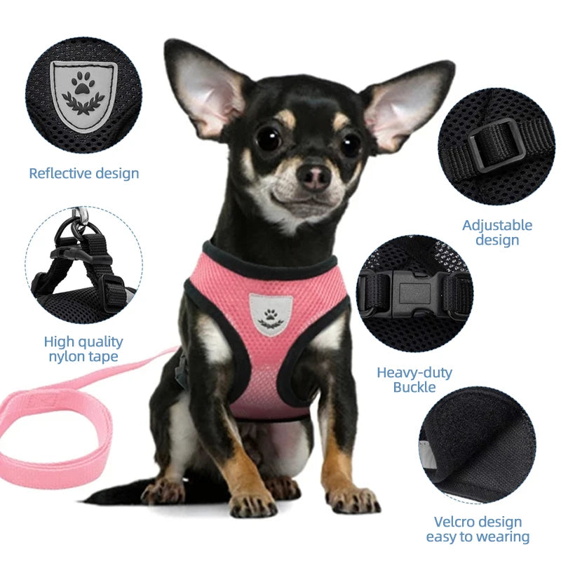 Arnés para gatos, chaleco, correa para pasear, collar para cachorros, collar de poliéster, arnés de malla ajustable para perros, accesorios para mascotas pequeñas y medianas