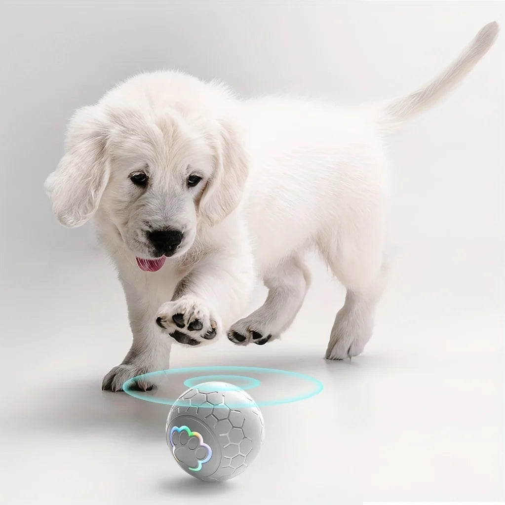 Pelota de juguete interactiva inteligente para perros, pelota de juguete electrónica para mascotas, pelota de juguete USB automática que rebota y rueda con luces RGB para cachorros y gatos.
