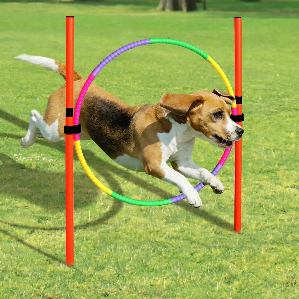 Conjunto de entrenamiento de obstáculos para perros al aire libre, equipo de agilidad para mascotas, conjunto de salto, accesorios de entrenamiento para perros, circuito de obstáculos para perros, suministros para mascotas
