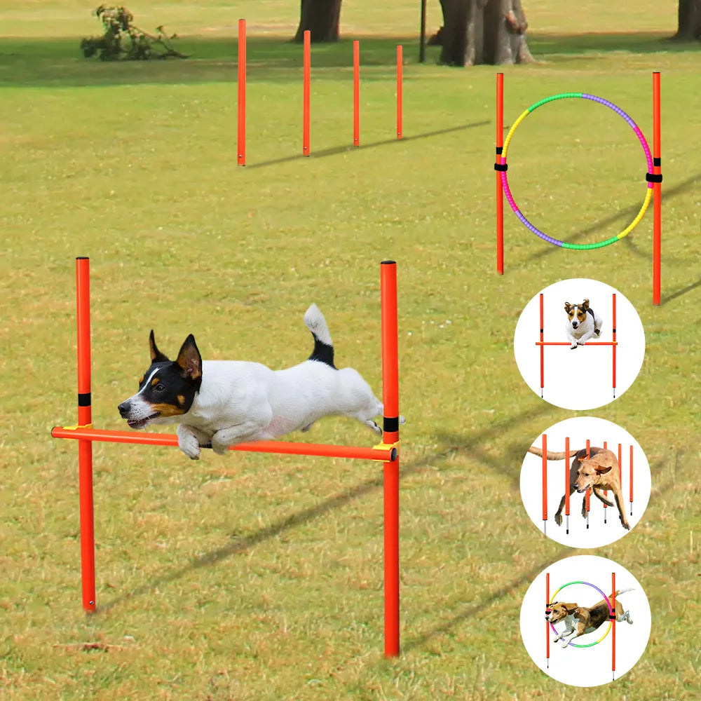 Conjunto de entrenamiento de obstáculos para perros al aire libre, equipo de agilidad para mascotas, conjunto de salto, accesorios de entrenamiento para perros, circuito de obstáculos para perros, suministros para mascotas