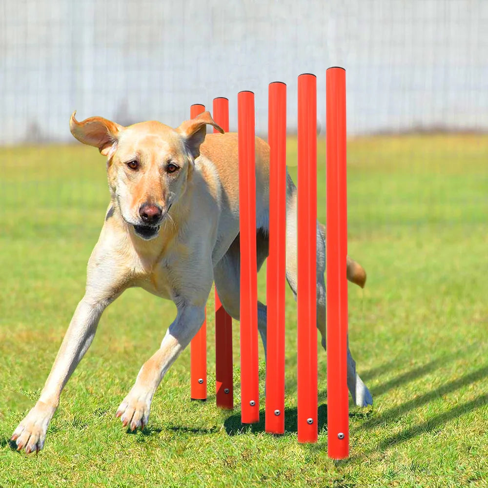 Conjunto de entrenamiento de obstáculos para perros al aire libre, equipo de agilidad para mascotas, conjunto de salto, accesorios de entrenamiento para perros, circuito de obstáculos para perros, suministros para mascotas