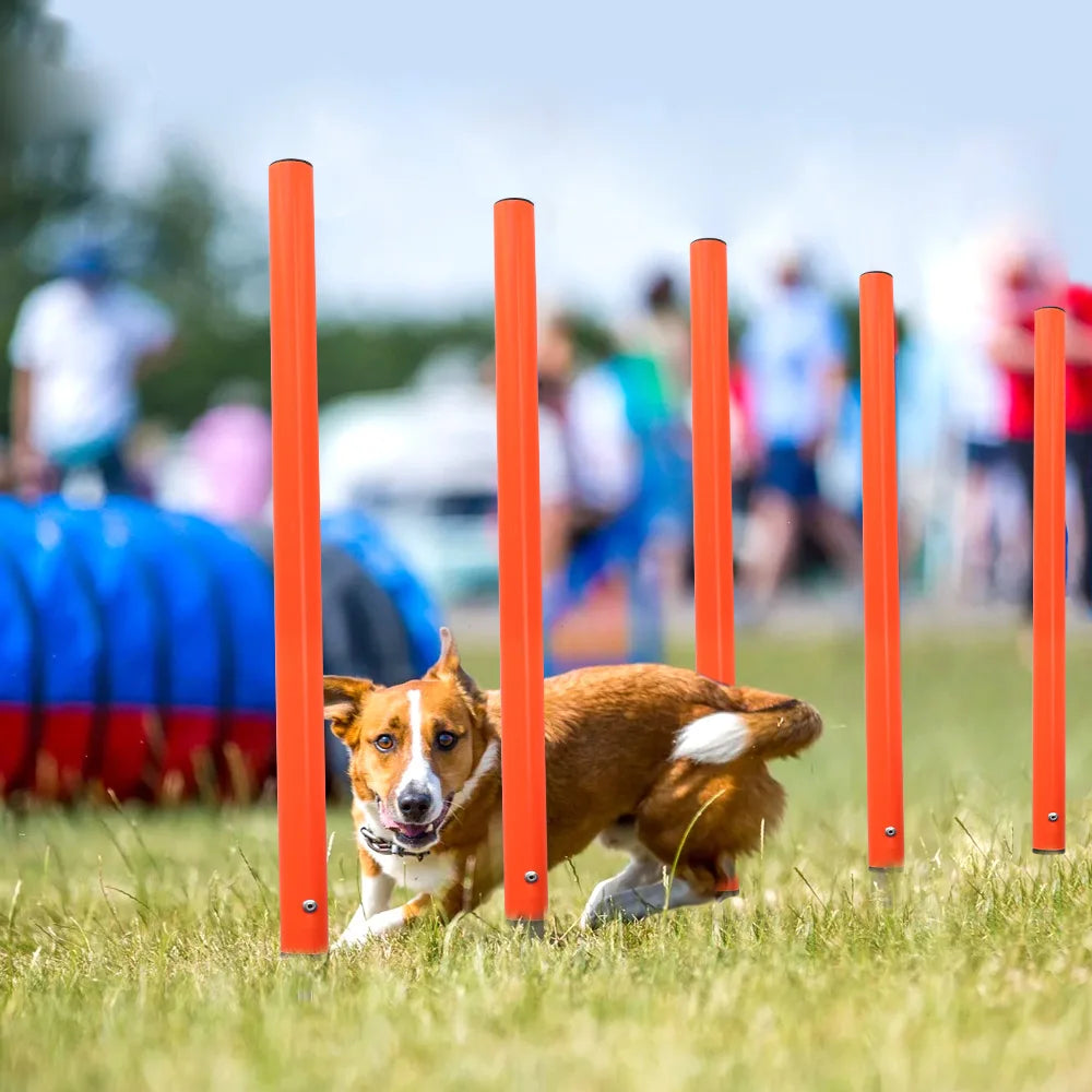 Conjunto de entrenamiento de obstáculos para perros al aire libre, equipo de agilidad para mascotas, conjunto de salto, accesorios de entrenamiento para perros, circuito de obstáculos para perros, suministros para mascotas