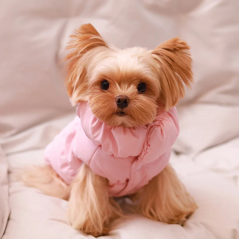 Abrigo de invierno de lujo para perros, chaleco de algodón cálido para mascotas, chaqueta gruesa de diseño para perros con anilla en D. Ropa Para Perro