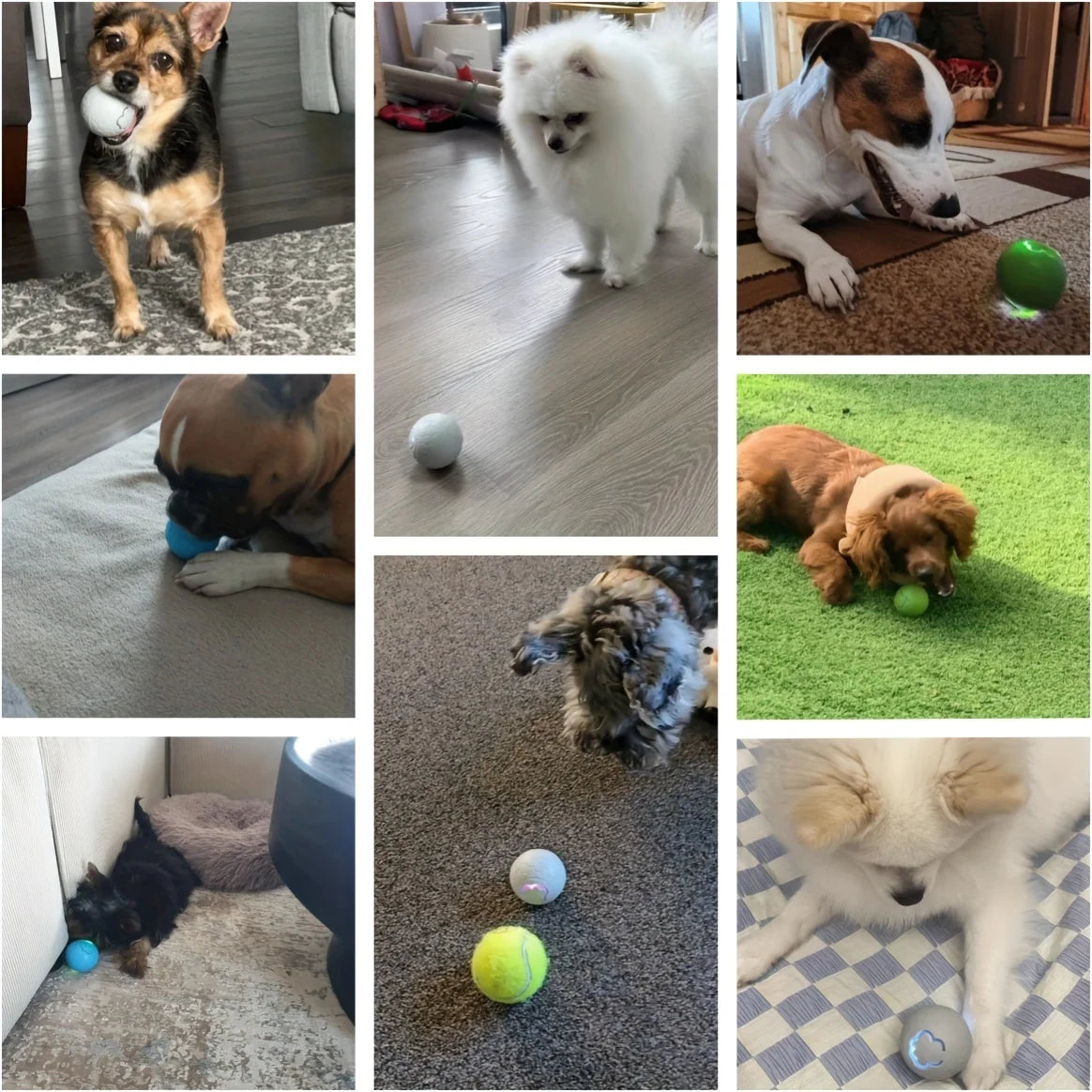 Pelota de juguete interactiva inteligente para perros, pelota de juguete electrónica para mascotas, pelota de juguete USB automática que rebota y rueda con luces RGB para cachorros y gatos.