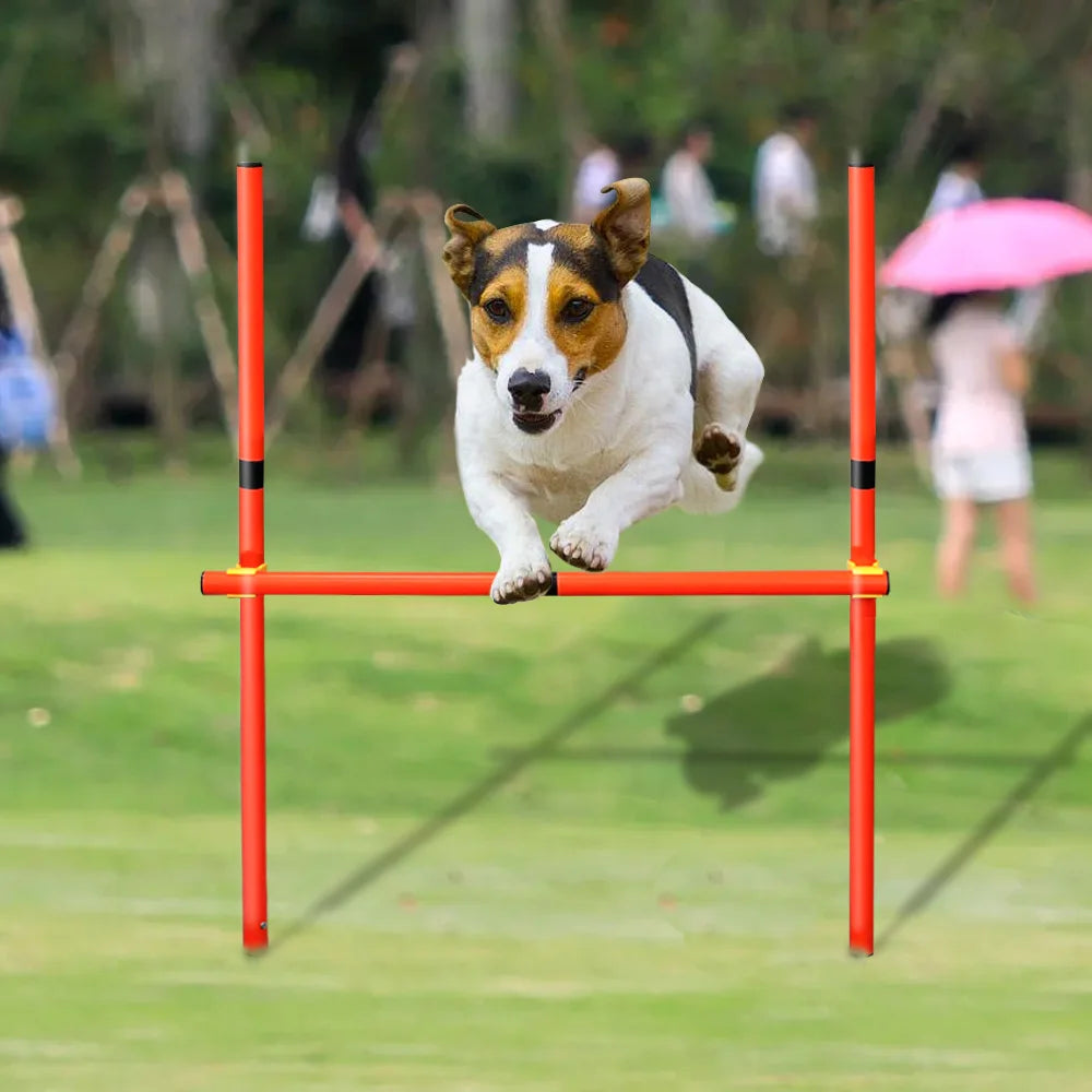 Conjunto de entrenamiento de obstáculos para perros al aire libre, equipo de agilidad para mascotas, conjunto de salto, accesorios de entrenamiento para perros, circuito de obstáculos para perros, suministros para mascotas