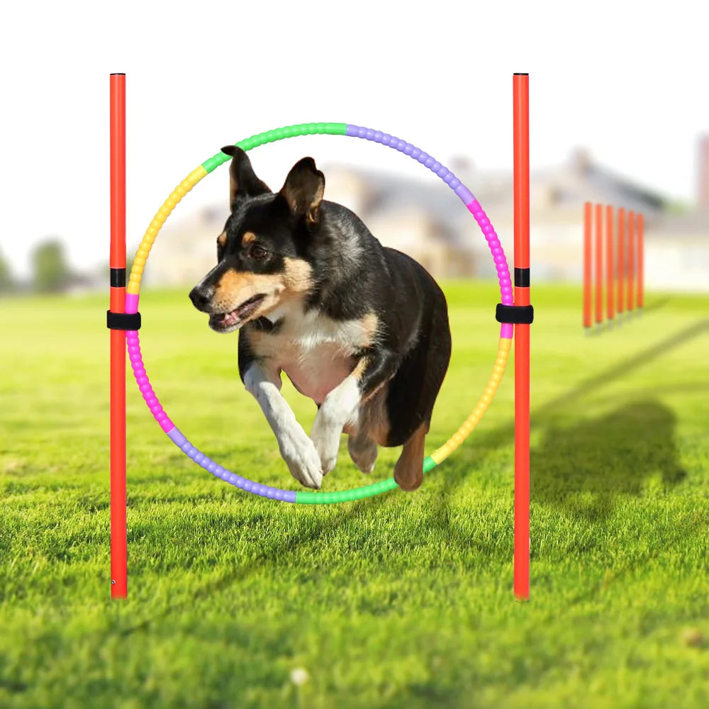 Conjunto de entrenamiento de obstáculos para perros al aire libre, equipo de agilidad para mascotas, conjunto de salto, accesorios de entrenamiento para perros, circuito de obstáculos para perros, suministros para mascotas