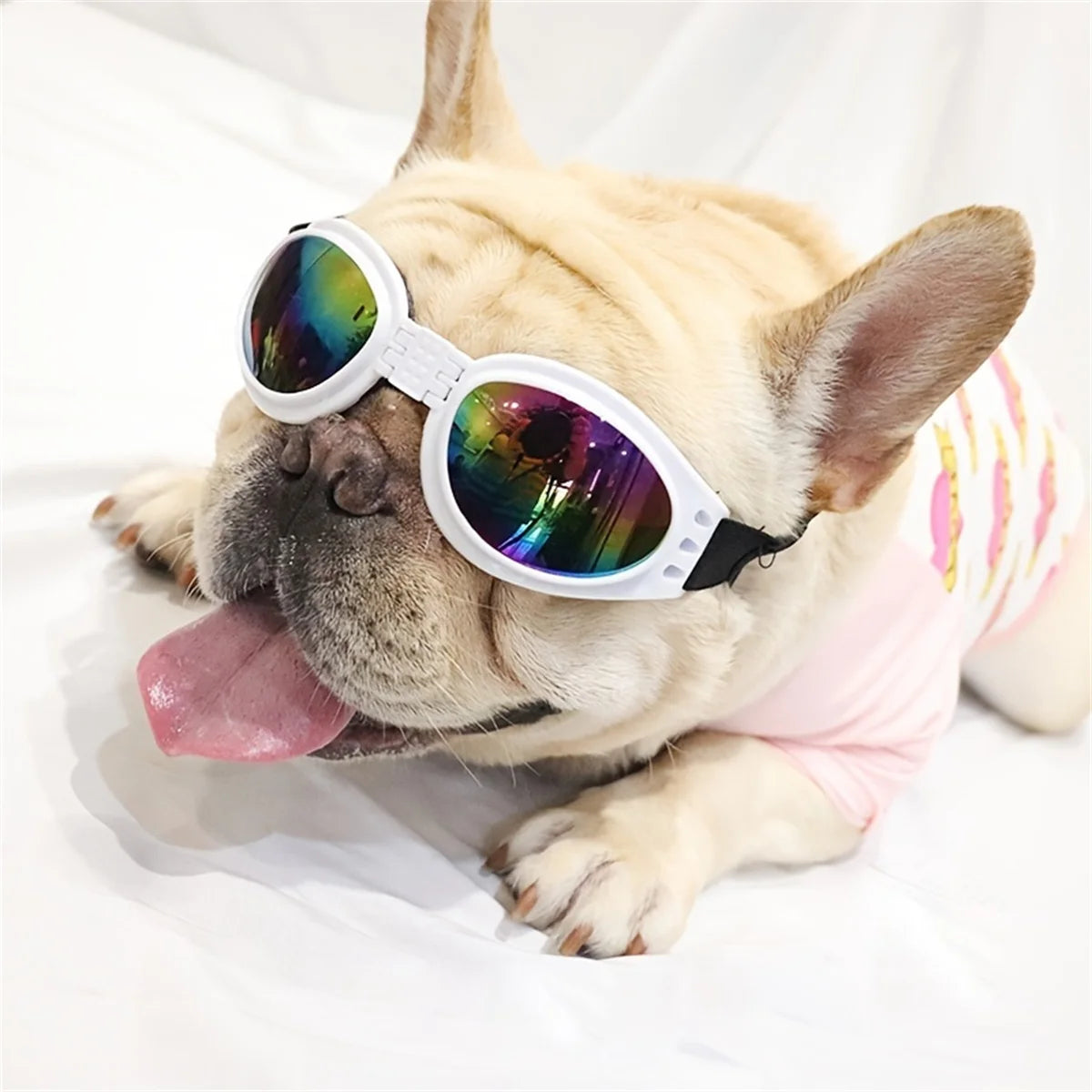 Gafas de sol plegables y modernas para mascotas - Gafas para perros para exteriores y protección solar - Accesorios para perros y gatos