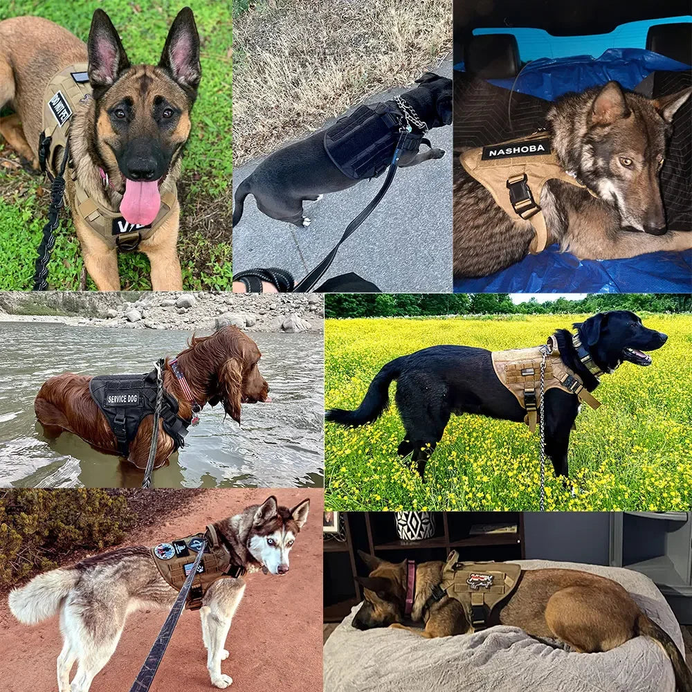 Arnés, collar y correa para perros grandes, bolsas para mascotas, chaleco de entrenamiento para pastor alemán, arneses para perros medianos y grandes, accesorios