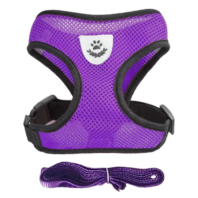 Arnés para gatos, chaleco, correa para pasear, collar para cachorros, collar de poliéster, arnés de malla ajustable para perros, accesorios para mascotas pequeñas y medianas