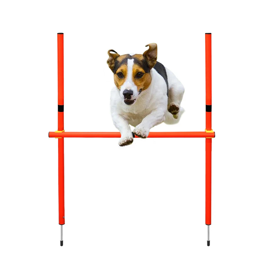 Conjunto de entrenamiento de obstáculos para perros al aire libre, equipo de agilidad para mascotas, conjunto de salto, accesorios de entrenamiento para perros, circuito de obstáculos para perros, suministros para mascotas