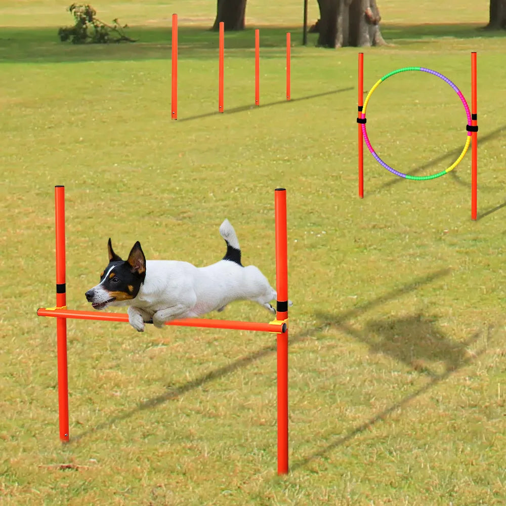 Conjunto de entrenamiento de obstáculos para perros al aire libre, equipo de agilidad para mascotas, conjunto de salto, accesorios de entrenamiento para perros, circuito de obstáculos para perros, suministros para mascotas