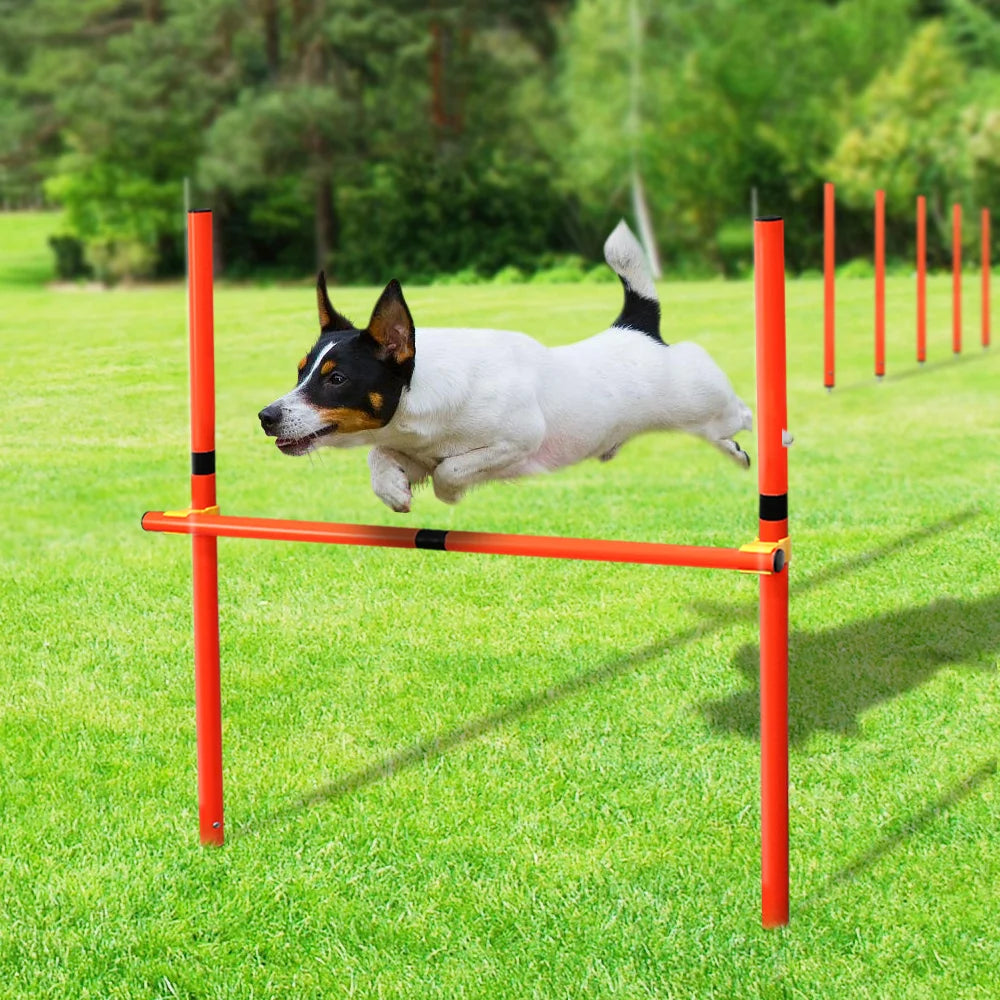 Conjunto de entrenamiento de obstáculos para perros al aire libre, equipo de agilidad para mascotas, conjunto de salto, accesorios de entrenamiento para perros, circuito de obstáculos para perros, suministros para mascotas