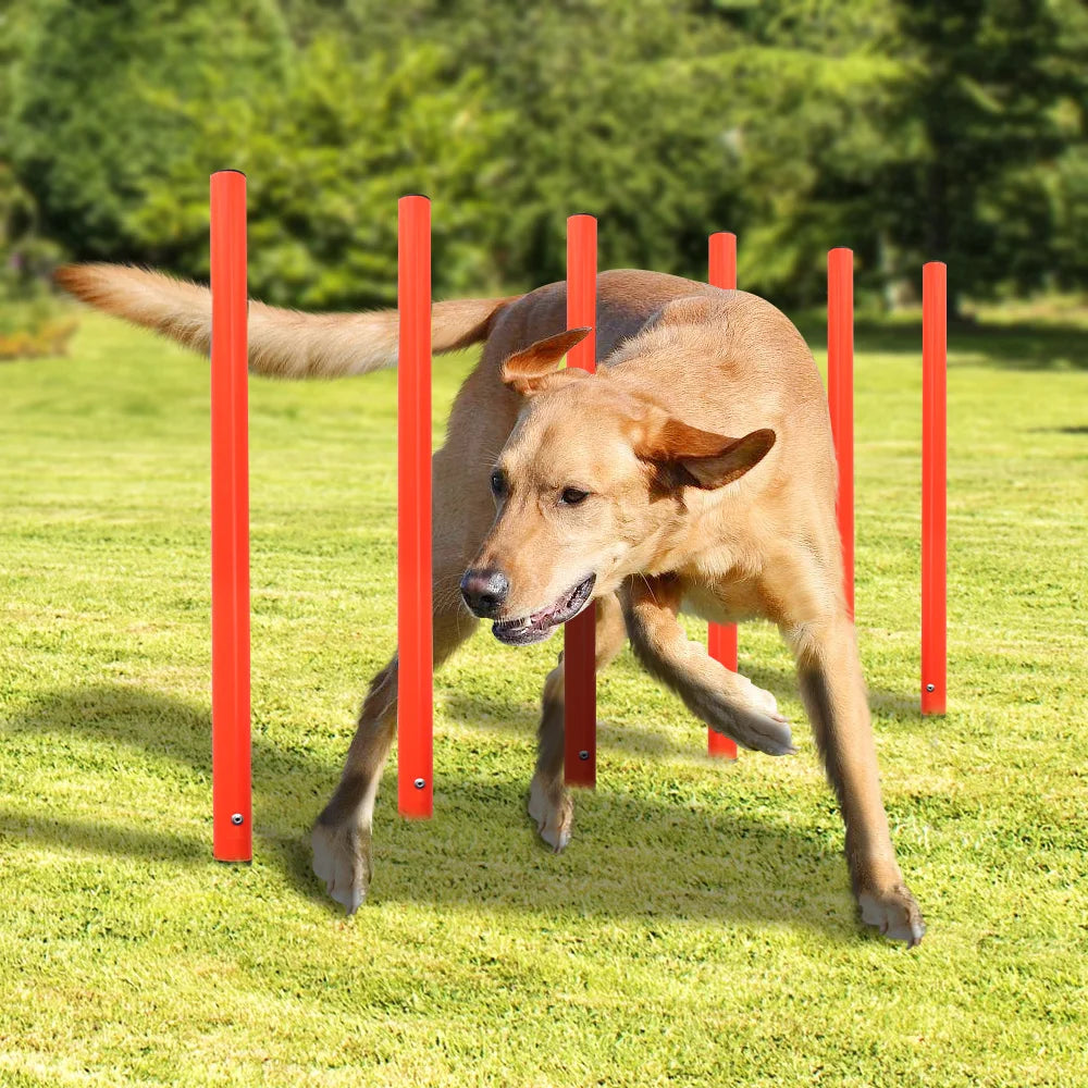 Conjunto de entrenamiento de obstáculos para perros al aire libre, equipo de agilidad para mascotas, conjunto de salto, accesorios de entrenamiento para perros, circuito de obstáculos para perros, suministros para mascotas