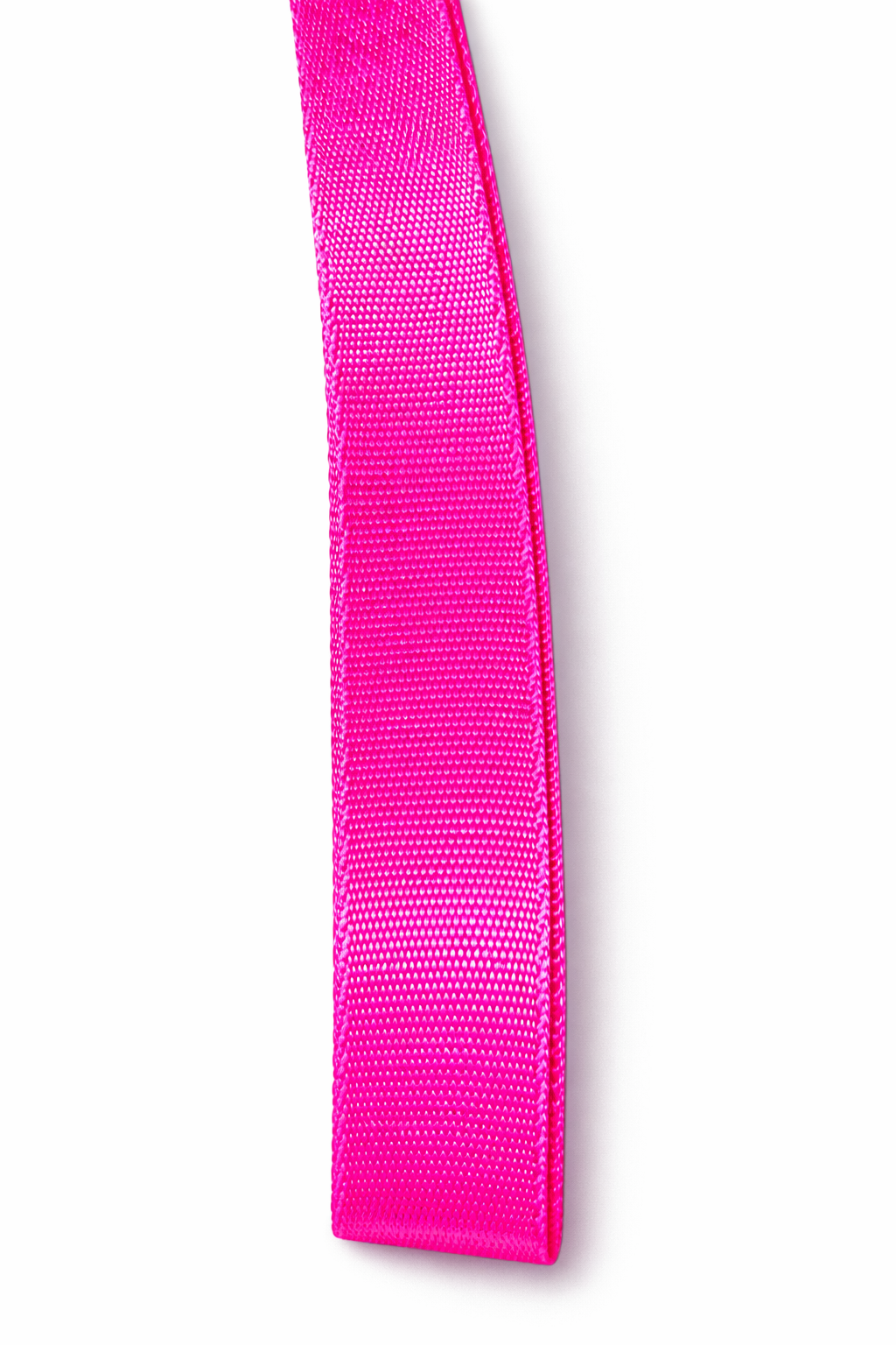 Reata Lisa 25mm (1") Nylon