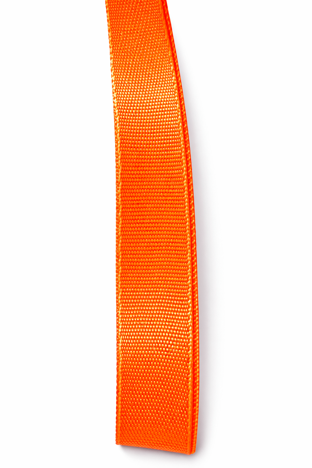 Reata Lisa 25mm (1") Nylon