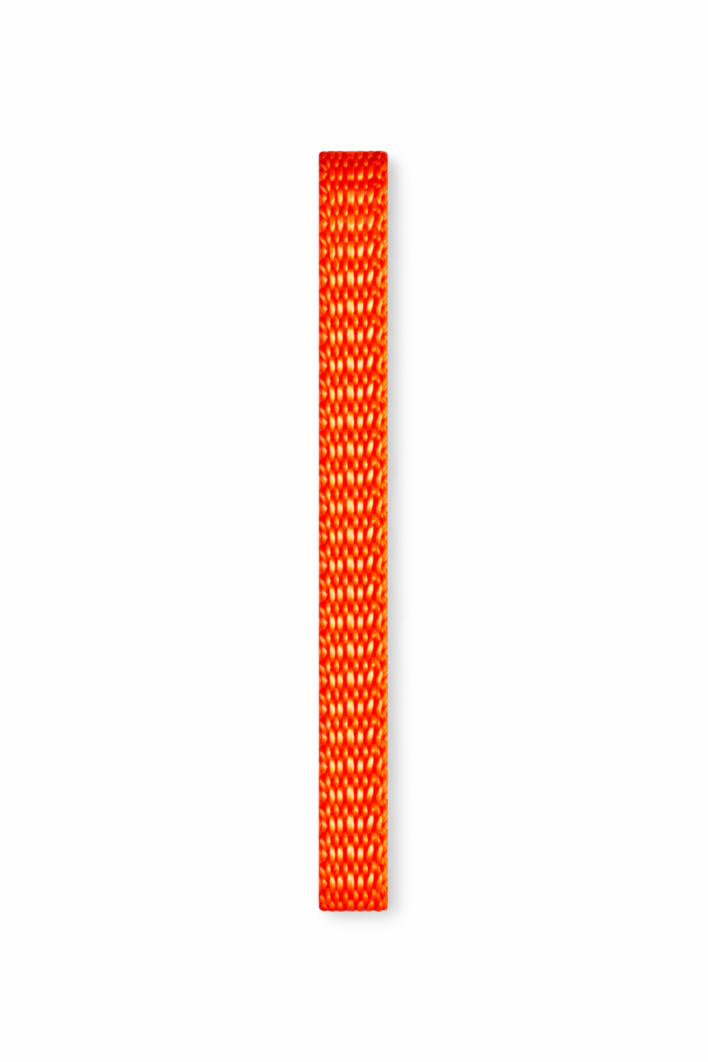 Reata Liviana 8mm (3/8) Nylon